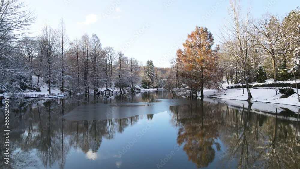 Winter Season in the Ataturk Arboretum Drone Video, Sariyer Istanbul, Turkey Winter Season in the Ataturk Arboretum Drone Video, Sariyer Istanbul, Turkey