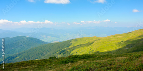 hills and meadows of carpathian mountains. summer landscape with green slopes on a sunny day. ridge beneath a sky with fluffy clouds in the distance © Pellinni