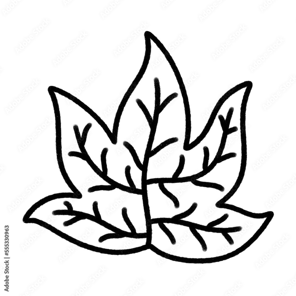 tropical leaf line icon. tropical leaf line icon.
