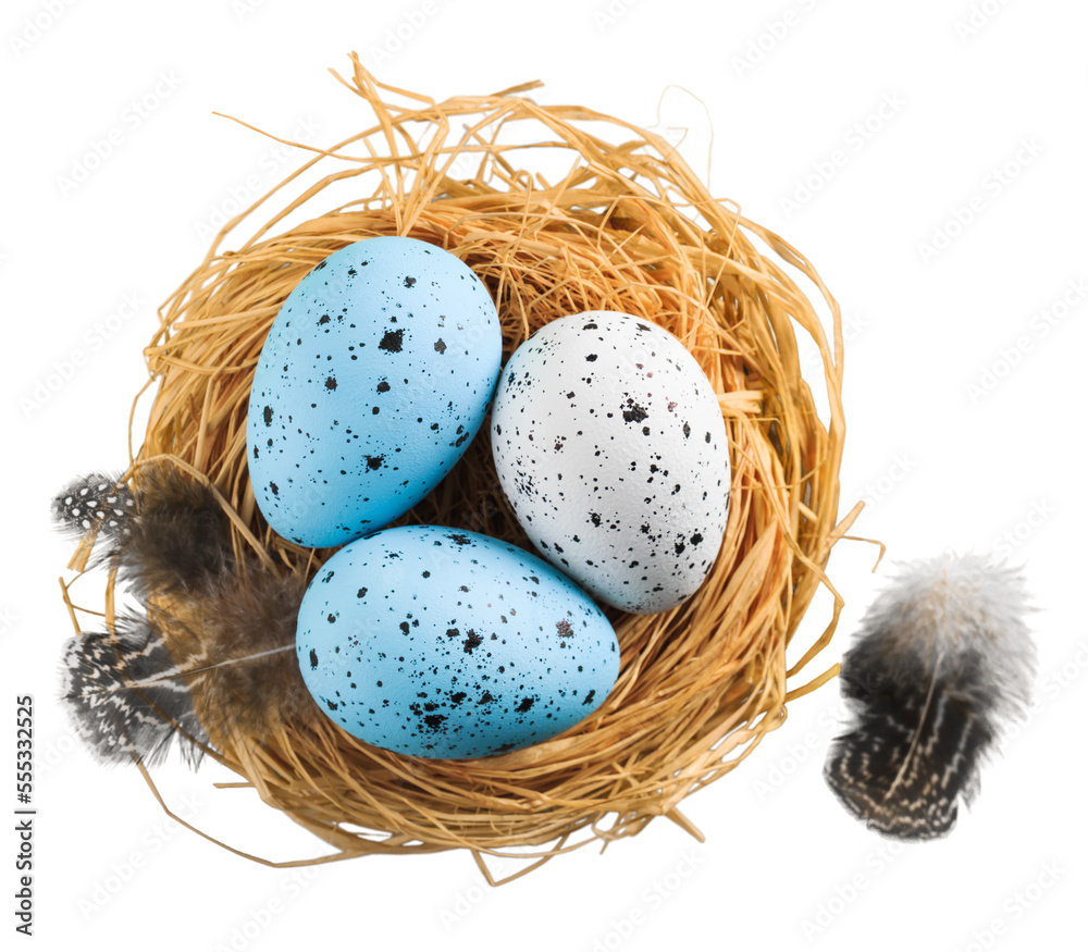 Obraz premium Beautiful colored easter eggs in the nest