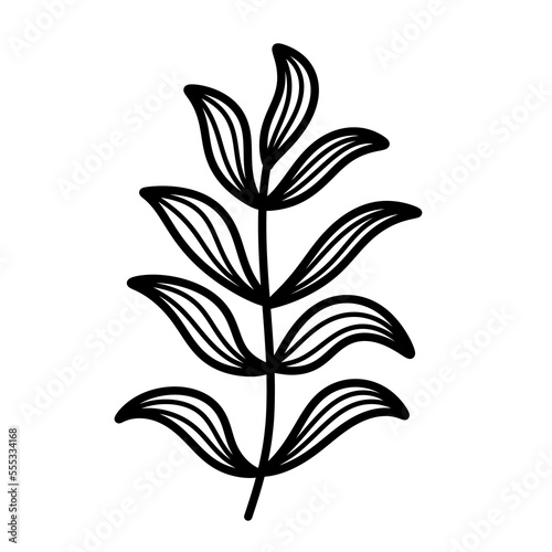 Doodle leaf of palm icon. © Sathaporn