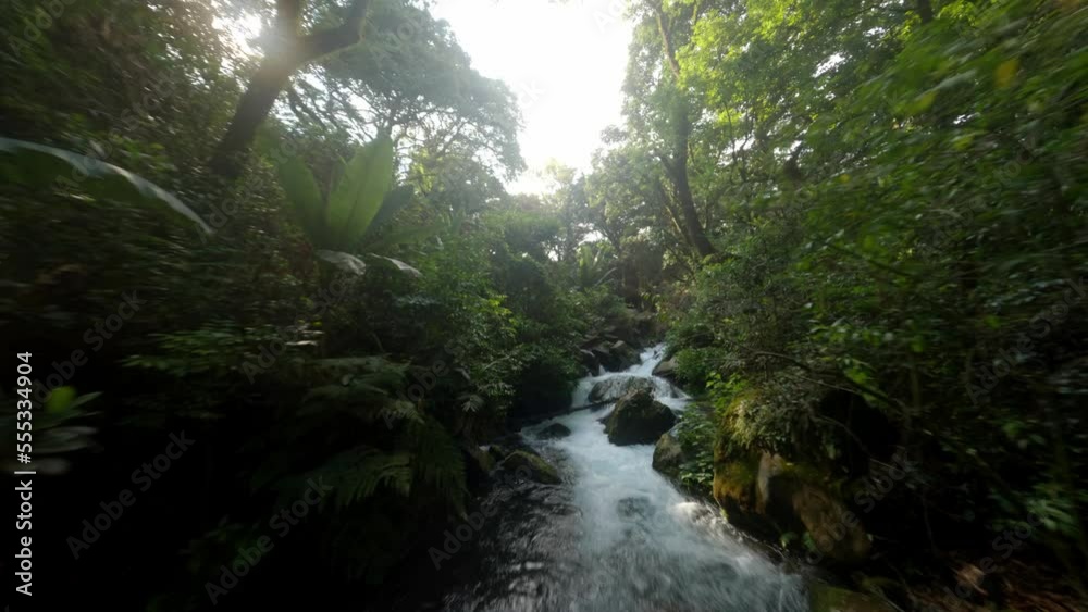 FPV DRONE: FLYING OVER A RIVER IN URUAPAN NATIONAL PARK FPV DRONE: FLYING OVER A RIVER IN URUAPAN NATIONAL PARK