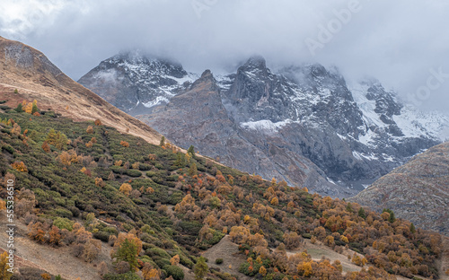 Autumn in Col du Lautaret high mountain pass. Hautes-Alpes, France
