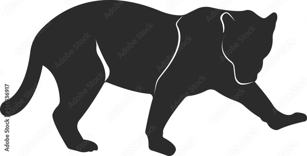 Wild animal panther. Black white image of an animal.