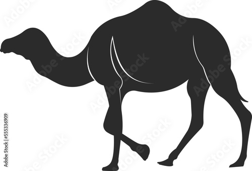 Wild animal camel. Camel with one hump.