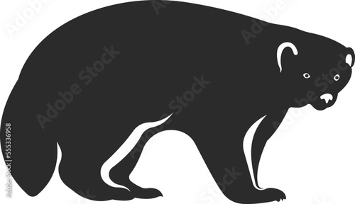 Wild mammal wolverine. Black and white silhouette.