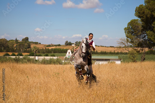 Young, beautiful Spanish woman on a brown horse in the countryside. The horse raises its front legs. She is doing dressage exercises. Thoroughbred and equine concept.