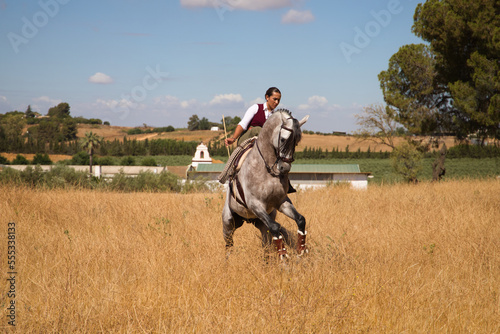 Young, beautiful Spanish woman on a brown horse in the countryside. The horse raises its front legs. She is doing dressage exercises. Thoroughbred and equine concept.
