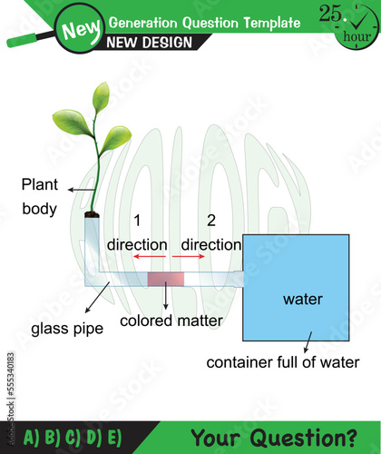 Biology - Lecture notes, plant physiology, flower, seed, root, stem, leaf, next generation question template, eps