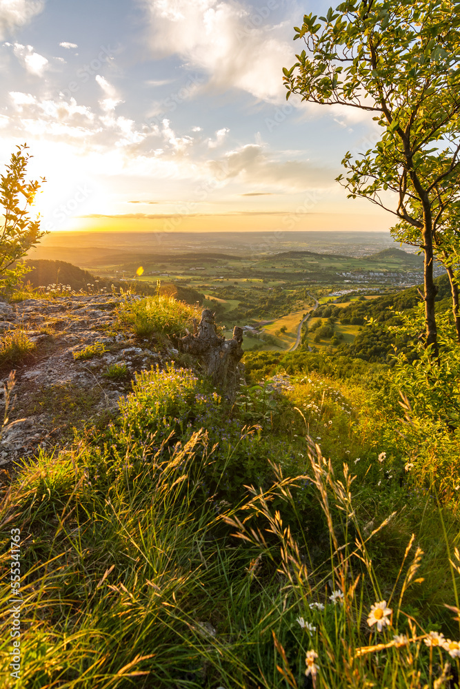 Scenic sunset over typical mountain flora on a rock ledge in the Swabian Jura in Southern Germany Scenic sunset over typical mountain flora on a rock ledge in the Swabian Jura in Southern Germany