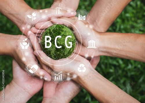 Global BCG icon concept with teamwork. Bio-economy, circle economy, green economy. BCG icon on a beautiful green background. The new economic model, or BCG model, photo