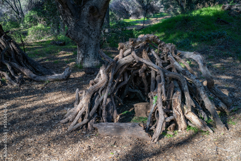 A hut in a clearing in the woods of Southern California