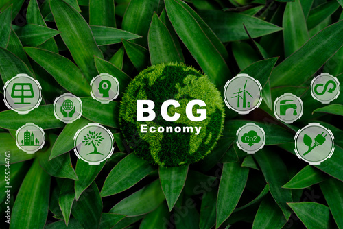 Bio-economy, circle economy, green economy.wooden cube with a BCG icon on a beautiful green background. The new economic model, or BCG model. BCG concept for sustainable economic development. photo