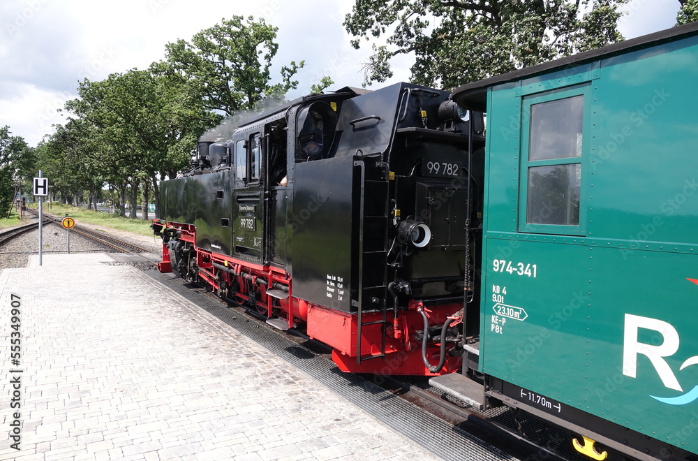 Rasender Roland in Sellin