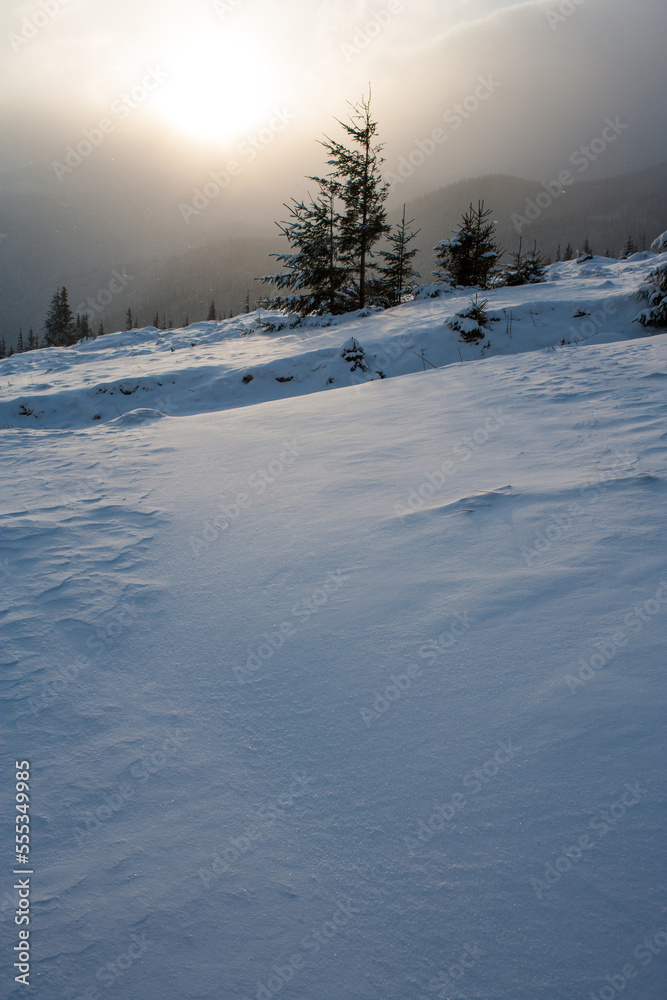 Winter landscape in the Carpathians mountains. Frosty sunny morning