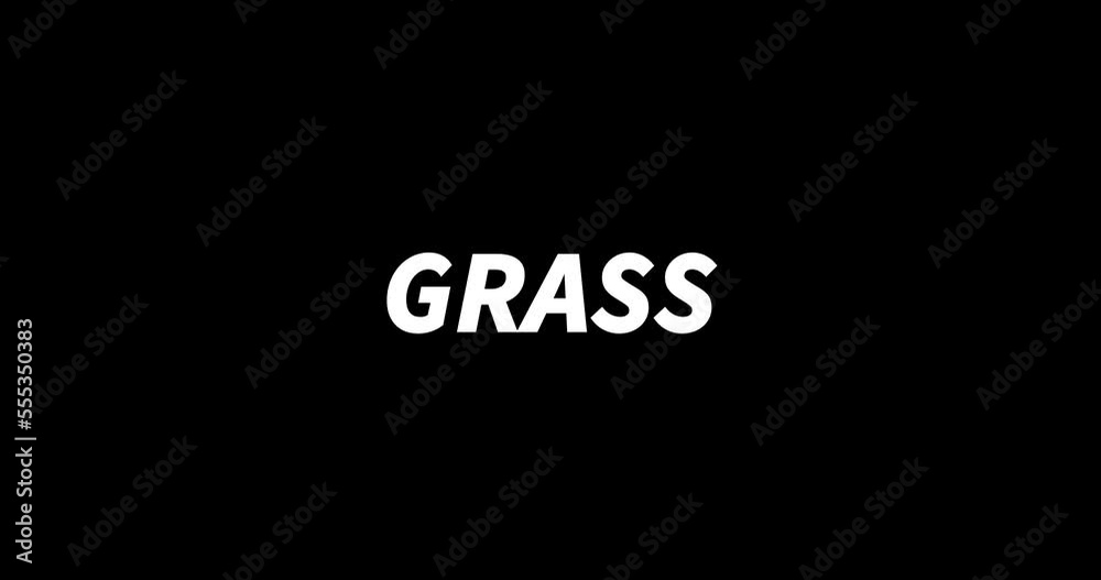 GRASS text animation on black background. Modern text animation, written GRASS GRASS text animation on black background. Modern text animation, written GRASS