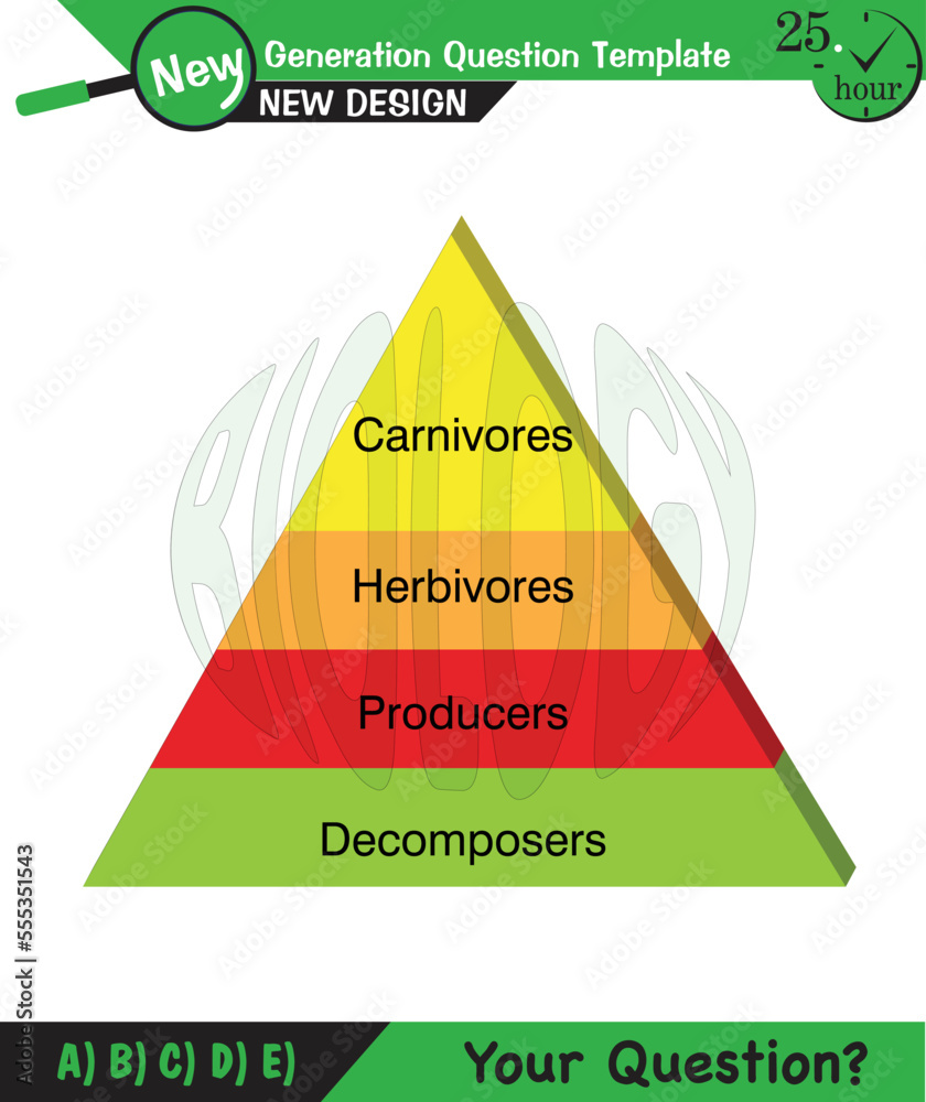 Physics, Vector Illustration of food chain Biology Diagrams