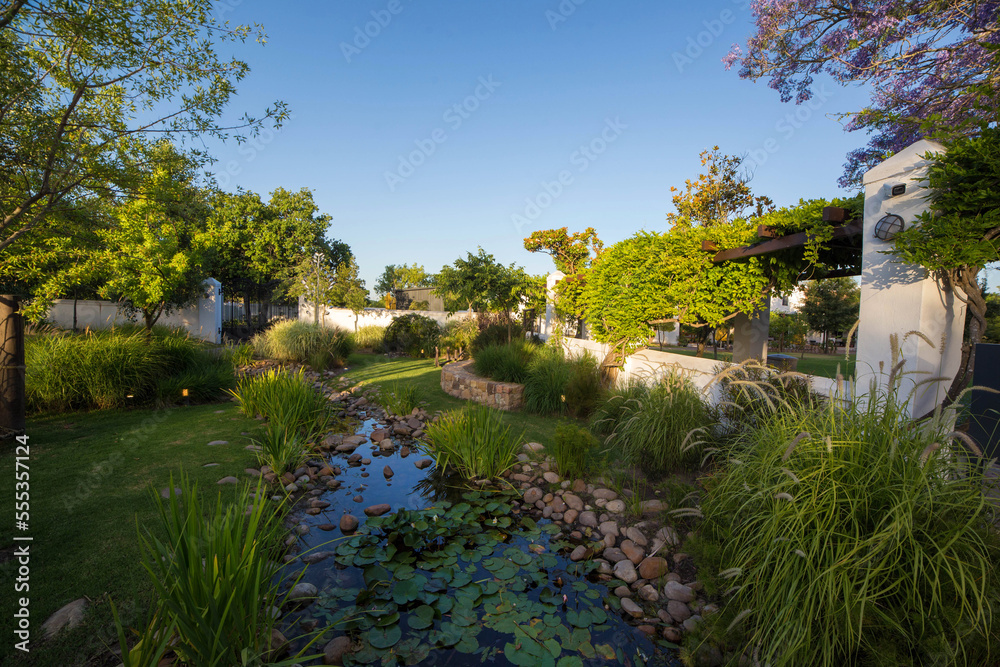 a beautiful garden in the rays of the evening sun. South Africa