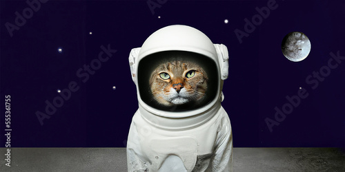 illustrazione di  gatto vestito con tuta spaziale con sullo sfondo la luna e le stelle        creato con intelligenza artificiale, AI photo