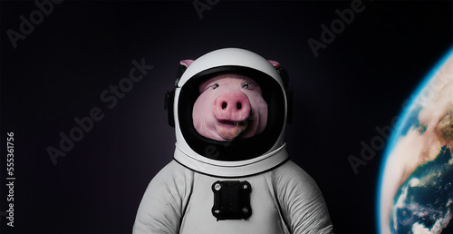 Valokuvatapetti illustrazione di  maiale vestito da astronauta su un pianeta con sfondo blu con