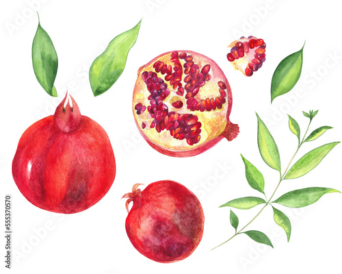 A set of watercolor images of pomegranate fruits with leaves.