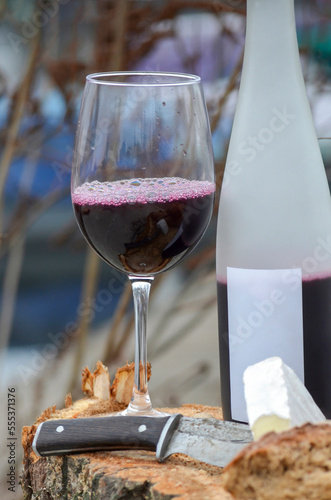 A glass of red wine and a bottle on a wooden stump