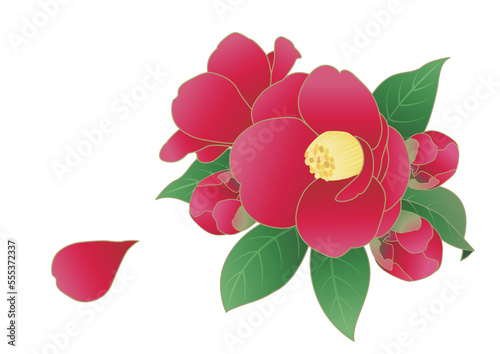 紅い椿のイラスト素材
