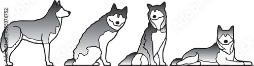 Alaskan Husky cute dog breed icon portrait doodle line art vector illustration