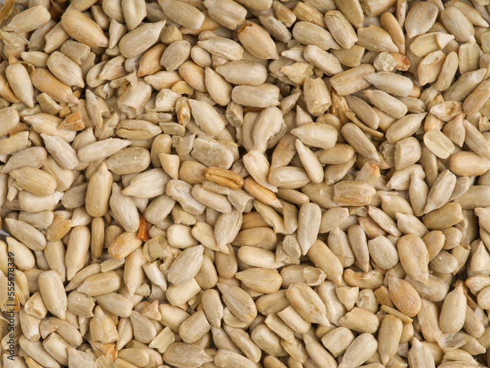 The texture of peeled sunflower seeds. Close The texture of peeled sunflower seeds. Close