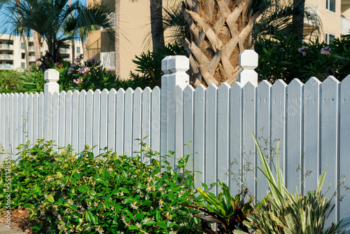 Destin, Florida- Plants near the painted white wood fence