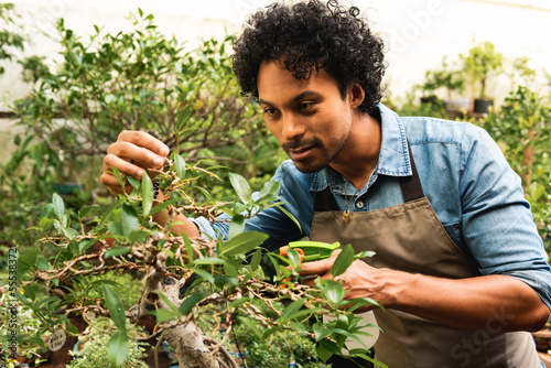 black botanist looking at branch of tree at plant nursery