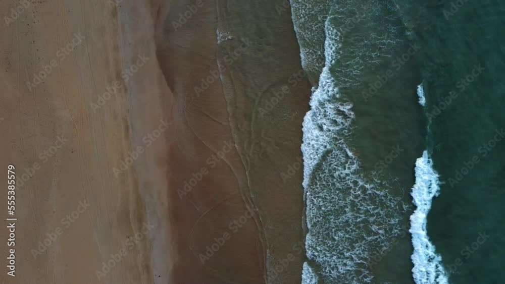 Bird’s eye view of a tropical beach