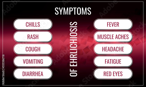 Symptoms of ehrlichiosis. Vector illustration for medical journal or brochure.
 photo