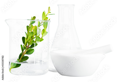 Scientific glassware with flowers and herbal. Natural skin care beauty products concept.