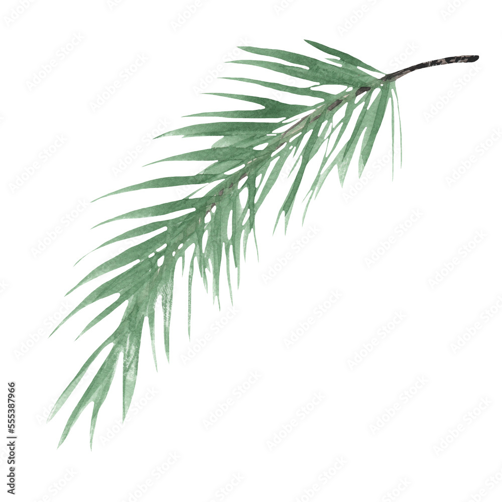 Obraz premium Watercolor spruce branches. Realistic branches of green pine. branch with needles