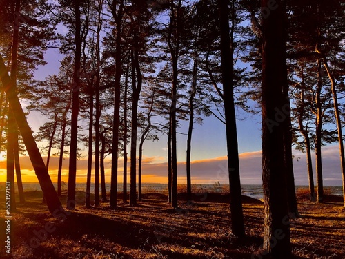 what Estonia looks like absorbing the landscape photo