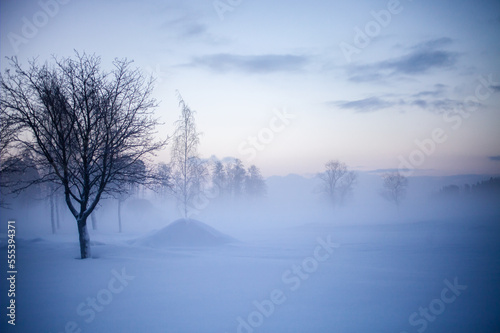 Winter wonderland in Finland