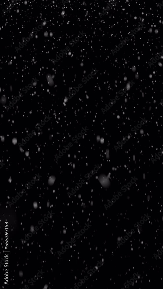 Looping animated Christmas background of falling snow isolated on black background in vertical format composition.  Original 4K version in ProRes 4444 codec with direct transparency alpha channel.