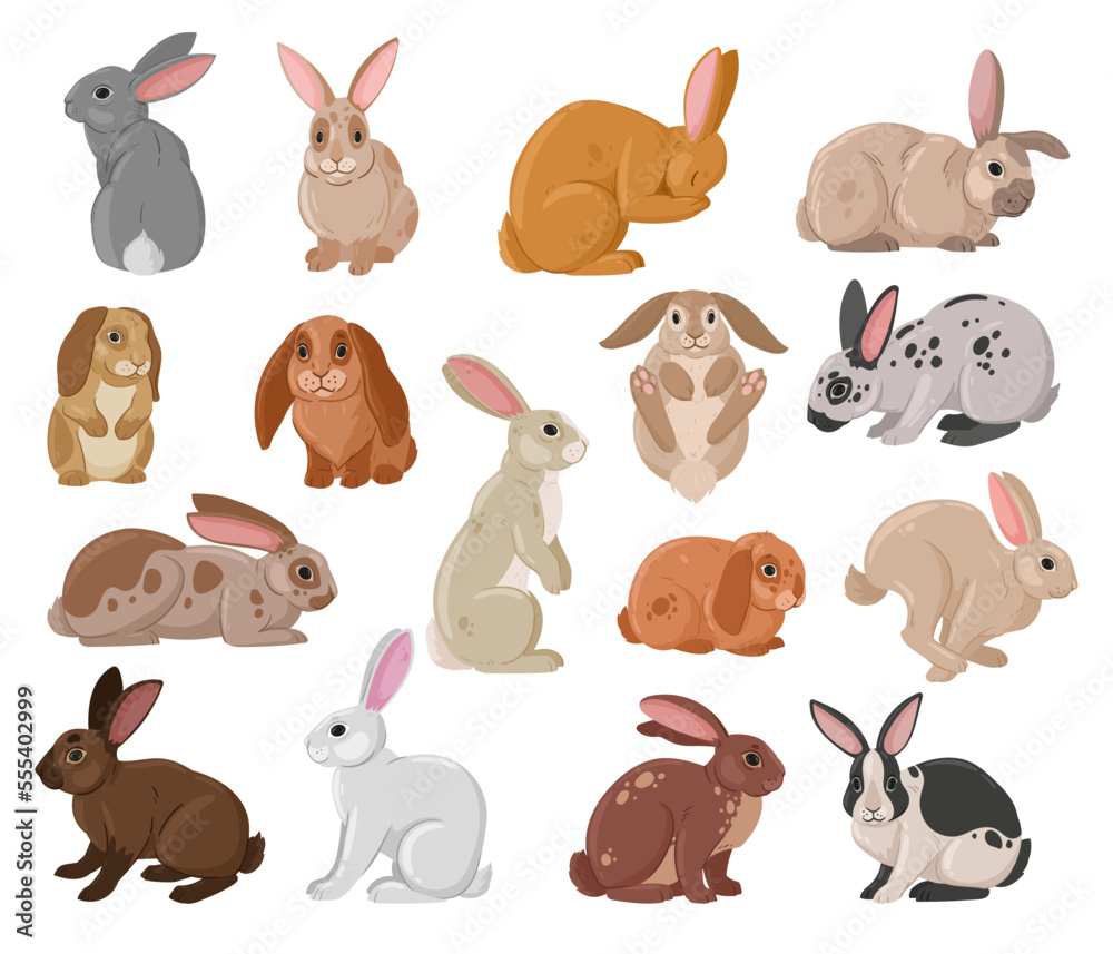 Obraz premium Cartoon cute rabbits. Wildlife funny bunny, spring eared hare animals, white and brown fur domestic bunnies flat vector illustration set. Spring holiday rabbits collection