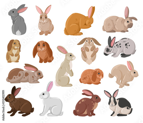 Cartoon cute rabbits. Wildlife funny bunny, spring eared hare animals, white and brown fur domestic bunnies flat vector illustration set. Spring holiday rabbits collection