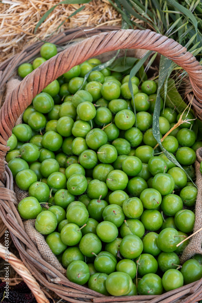 Green plum background, summer fruit green plum sold in open air market, top view photo