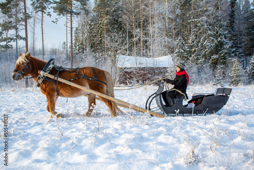 Woman with horse and sleigh in winter © citikka