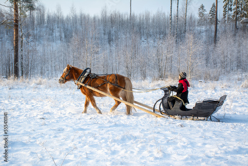 Woman with horse and sleigh © citikka