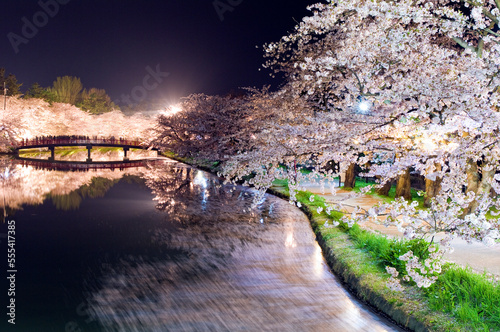 日本、青森、弘前公園の夜桜