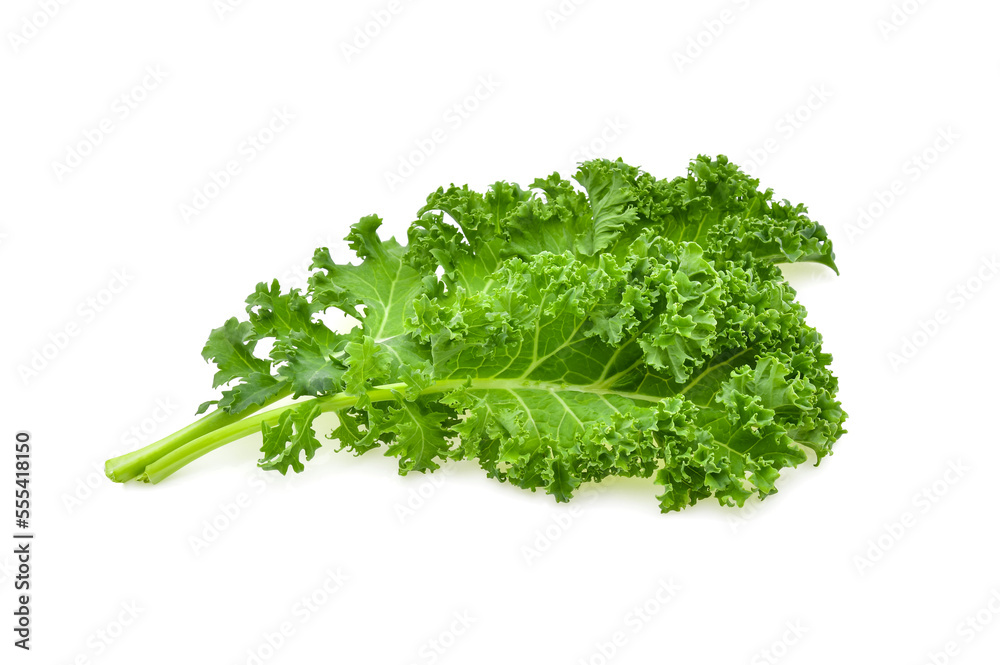 Kale leaf salad vegetable isolated on white background Kale leaf salad vegetable isolated on white background