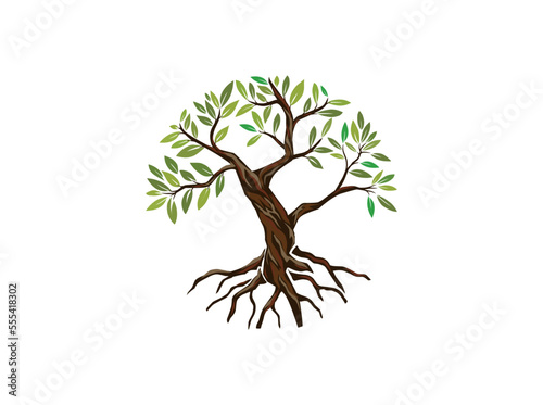 olive tree logo