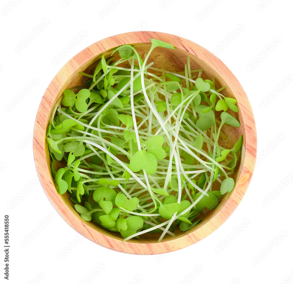 heap of alfalfa sprouts on white background
