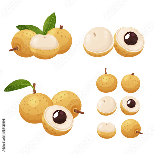 Summer tropical fruits for healthy lifestyle. Longan fruit. Vector illustration cartoon flat icon isolated on white.