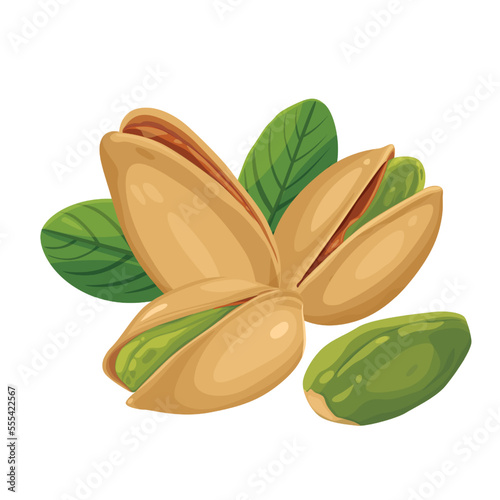 Vector product walnut pistachio icon. Pistachio nuts in the shell and with leaves. Illustration of food pistachio in flat minimalism style.Vector eps 10. perfect for design elements