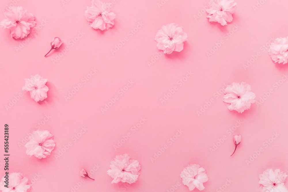 Cherry blossom flowers in color of the year 2023 Viva Magenta Cherry blossom flowers in color of the year 2023 Viva Magenta